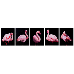 Flamingo Print Collection